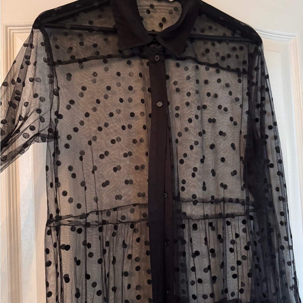 Zara Black Sheer Polka Dot Dress